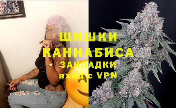 spice Пересвет