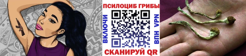 Галлюциногенные грибы Cubensis что такое наркотик Медынь